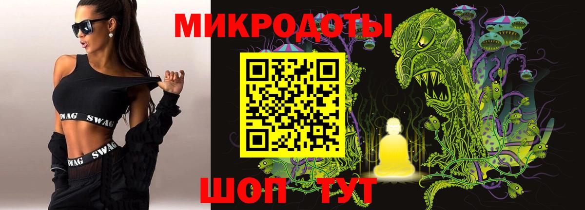 Псилоцибиновые грибы Psilocybe Алексин