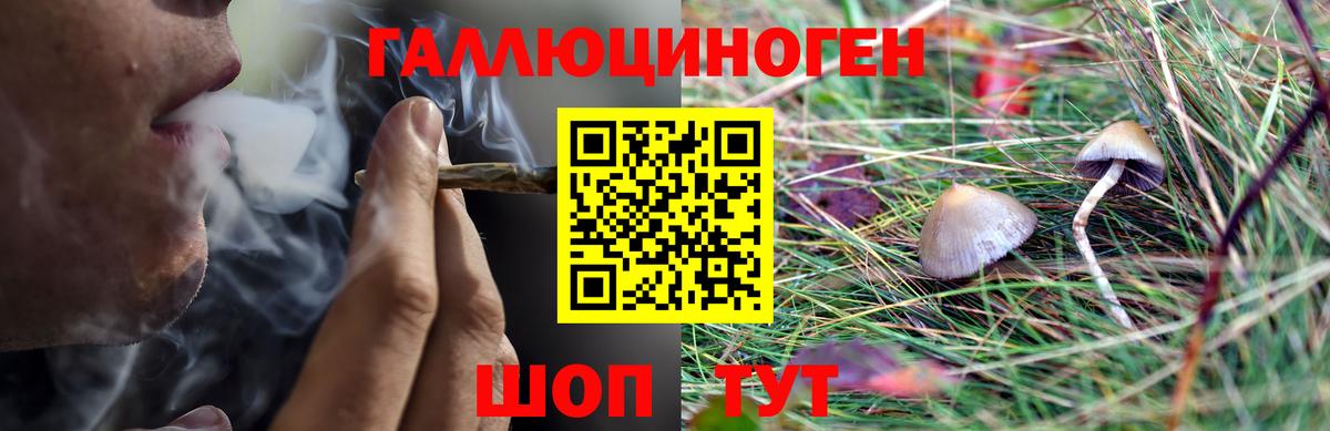 Псилоцибиновые грибы ЛСД  Вход с VPN  Алексин 